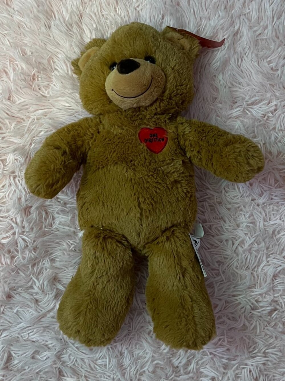 One Direction Build a Bear